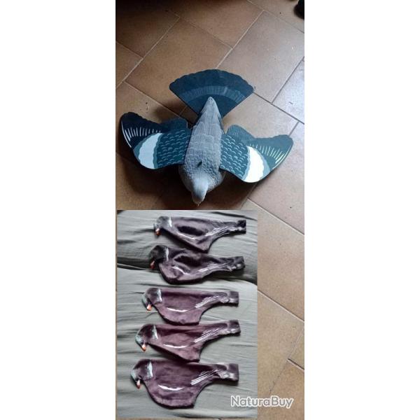 CHAUSSETTE 3 D + APPELANT PIGEON