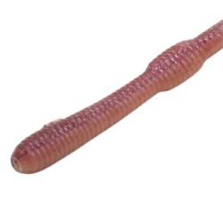 Leurre Souple DStyle Mimi King 8,8" - 22,3cm 4,5g par 5 Maji Earthworm 22,3cm