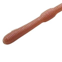 Leurre Souple DStyle Mimi King 8,8" - 22,3cm 4,5g par 5 Original Earthworm 22,3cm