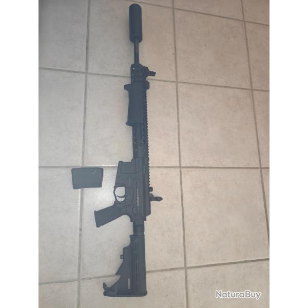 troy pompe 300 AAC blackout