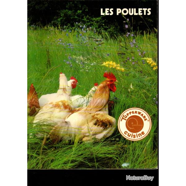 tupperware lot de 5 livres de recettes, cuisine de vacances , poulets, poissons, recevoir 1 et 2