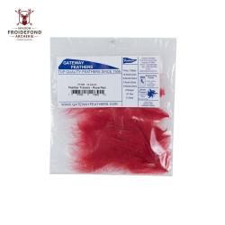 Traceur X12 - Gateway - Rouge