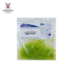 Traceur X12 - Gateway - Vert