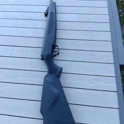 belle carabine a plomb STOEGER X-2019,9 joules