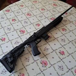 CARABINE ISSC SPA 22 ATS 22lr