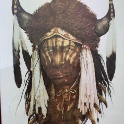 LITOGRAPHIE PORTRAIT INDIEN 56x76 cm s&eacute;rie limit&eacute;e 368/900 ken SCHMIDT ann&eacute;e 87avec cadre en bois