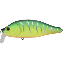 Poisson Nageur Xorus Dango 120 SR mat tiger