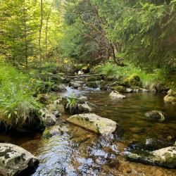 S&eacute;jour B&eacute;casse Premium - Plateau Ard&eacute;chois