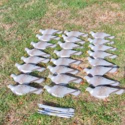 24 Blettes chasse pigeons ramier demi coque