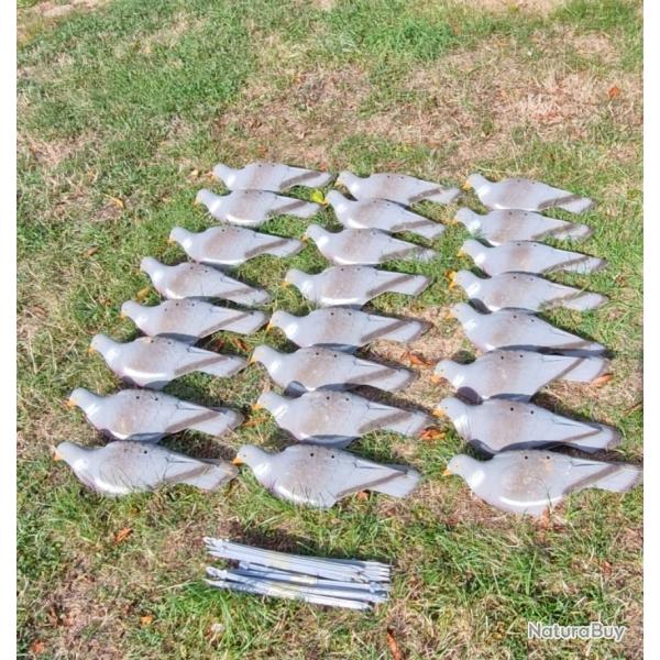 24 Blettes chasse pigeons ramier demi coque