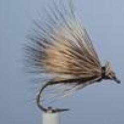 MOUCHE ENROCHEMENT FONCE H14