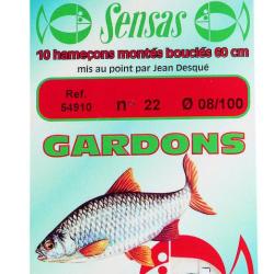 HAMECONS MONTES GARDON X 10 20/0