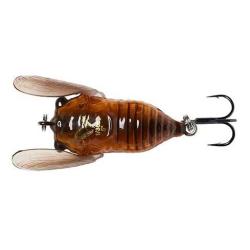 CICADA 33 F 3.5GR NPC Brown
