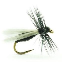 MOUCHE TERRESTRE 510 H16 BL