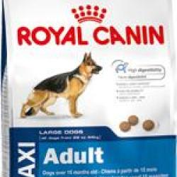 MAXI ADULT 10KGS