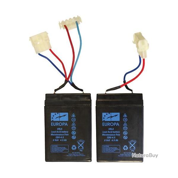 BATTERIES ANATEC JEU DE 2 POUR PAC BOAT 6V 4.5AH