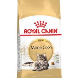 MAINE COON ADULT 2KGS