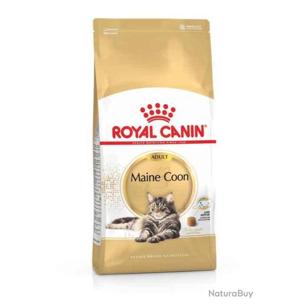 MAINE COON ADULT 2KGS