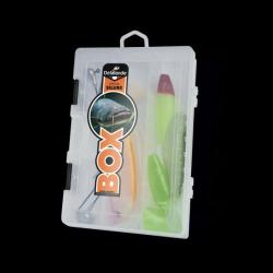 COFFRET SILURE DELALANDE