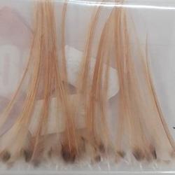 PLUME METZ SELECTION ROUX CLAIR 14/16 NPC