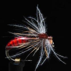 MOUCHE TER 3BL H16