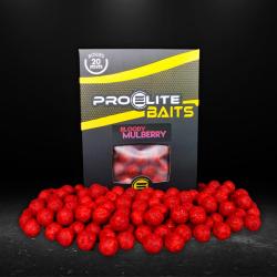 BOUILLETTE GOLD BLOODY MULBERRY 20MM 1KG