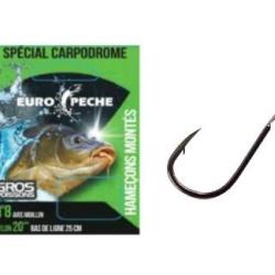 HAMECONS MONTES CARPODROME GROS POISSONS 25CM PAR 8 avec ARDILLON Taille 10 0.18mm