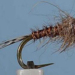 MOUCHE JCC 250 BL H14