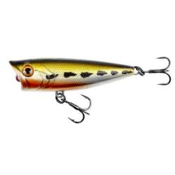 MAD POP 70F N7 NPC