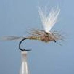 MOUCHE DC 50BL H14