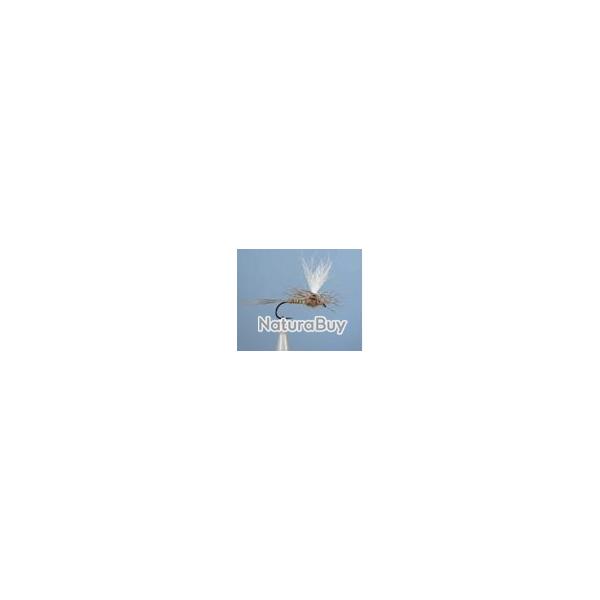 MOUCHE DC 50BL H14