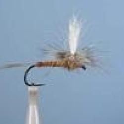 MOUCHE DC 51BL H14