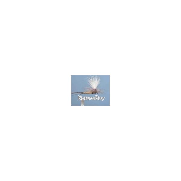 MOUCHE DC 55BL H12 NPC
