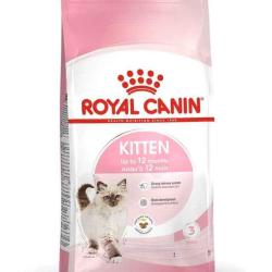KITTEN 2KGS