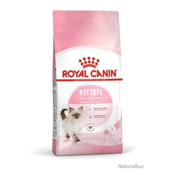 KITTEN 2KGS
