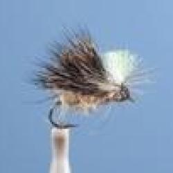 MOUCHE DC 35 H10
