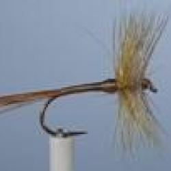 MOUCHE JMC 602 H14 NPC