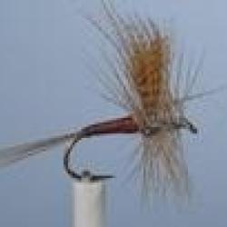 MOUCHE JMC 603 H12 NPC