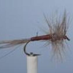 MOUCHE JMC 604 H14 NPC
