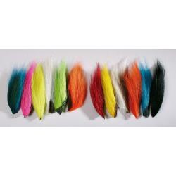 BUCKTAIL JMC NPC Orange