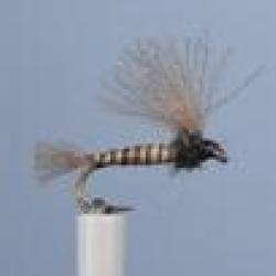 MOUCHE BM 6 H16