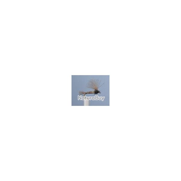 MOUCHE BM 6 H16
