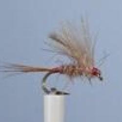 MOUCHE CHARNOZ H16 NPC