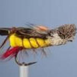 MOUCHE SAUTERELLE 9 H10 NPC