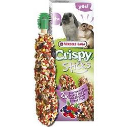 STICKS LAPINS/CHINCHILLAS FRUITS DES BOIS X2