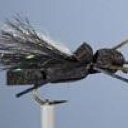MOUCHE SAUTERELLE 8 H10 NPC