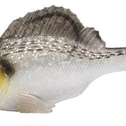 SLEEPER GILL 80MM 21GR Sparus aurata