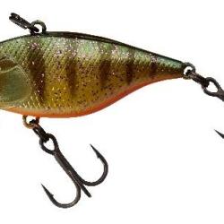 TN 38 TRIGON Agressive perch