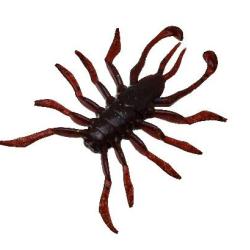 RV BUG 38 PAR 8 Cola citras flake