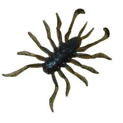 RV BUG 38 PAR 8 Dark green pumpkin blue